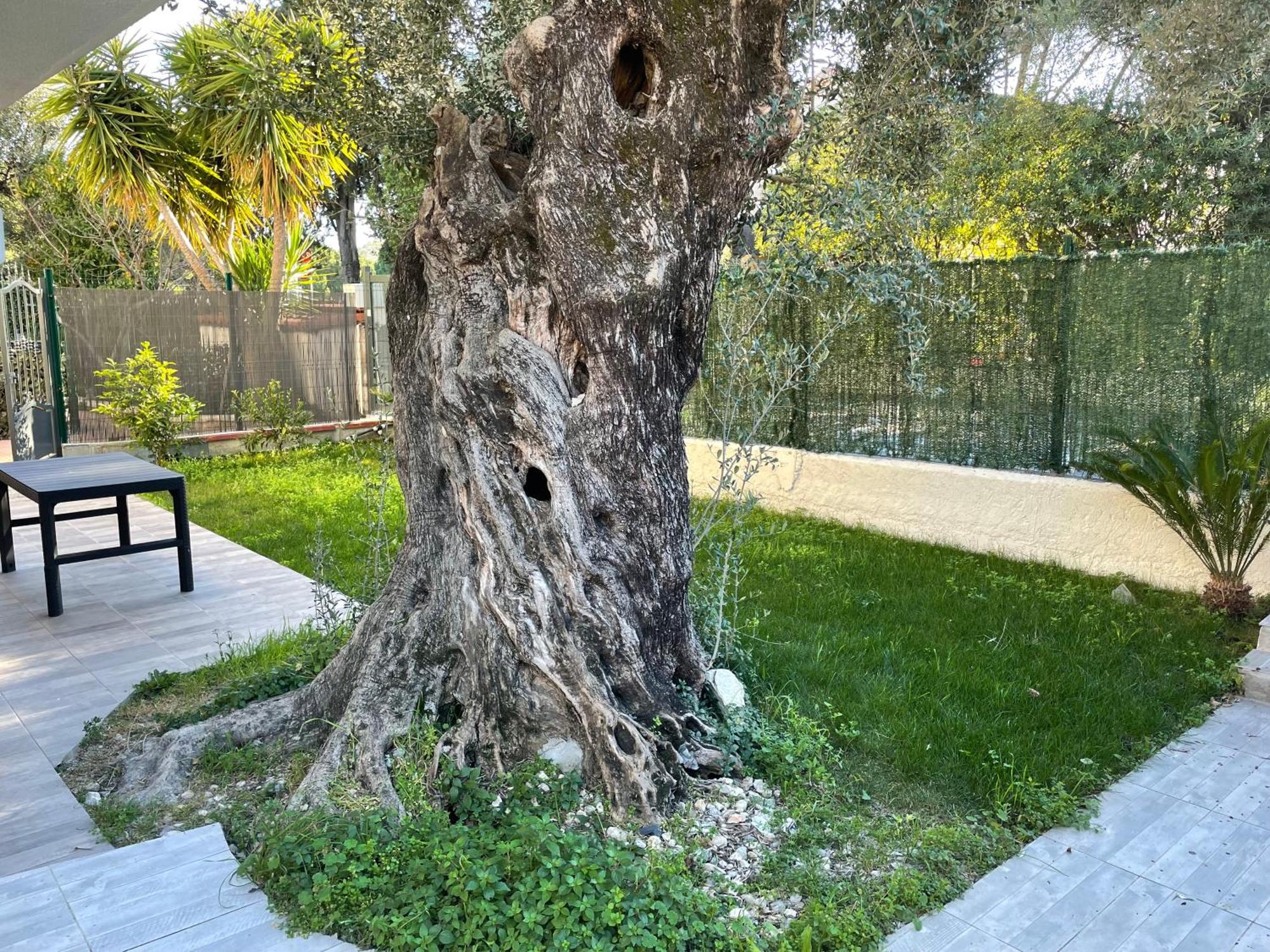 Joli Rez De Jardin 4 Pieces A Cagnes Sur Mer Eksteriør billede